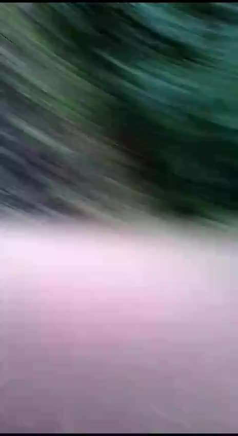 Kangal Fans ! ! ! !-Beitrag-Bild