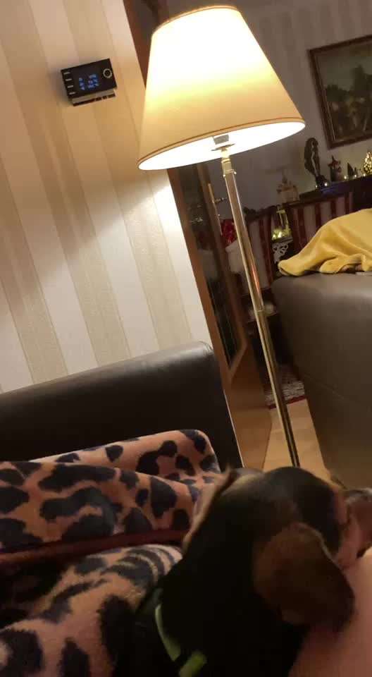 Schlupfwarze entzündet ???-Beitrag-Bild