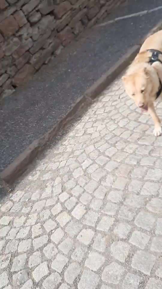 Was hat euch heute gefreut?-Beitrag-Bild