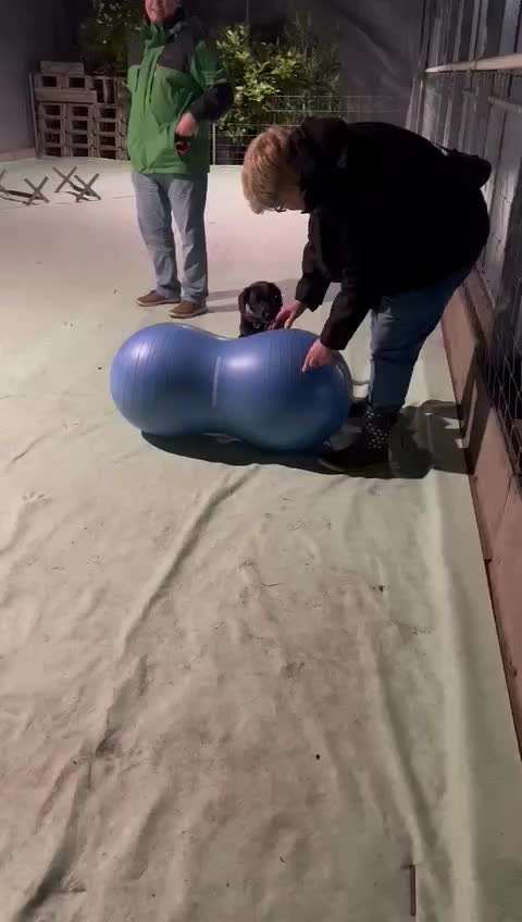 Freddys Kummerkasten-Beitrag-Bild