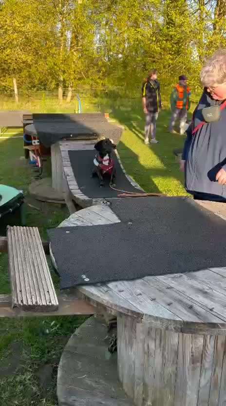 Freddys Kummerkasten-Beitrag-Bild