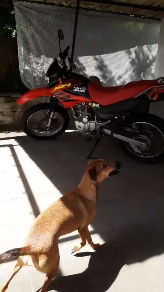 𝕋ℝ𝕀ℂ𝕂 ℂℍ𝔸𝕃𝕃𝔼ℕ𝔾𝔼 ℕℝ. 𝟙-Beitrag-Bild