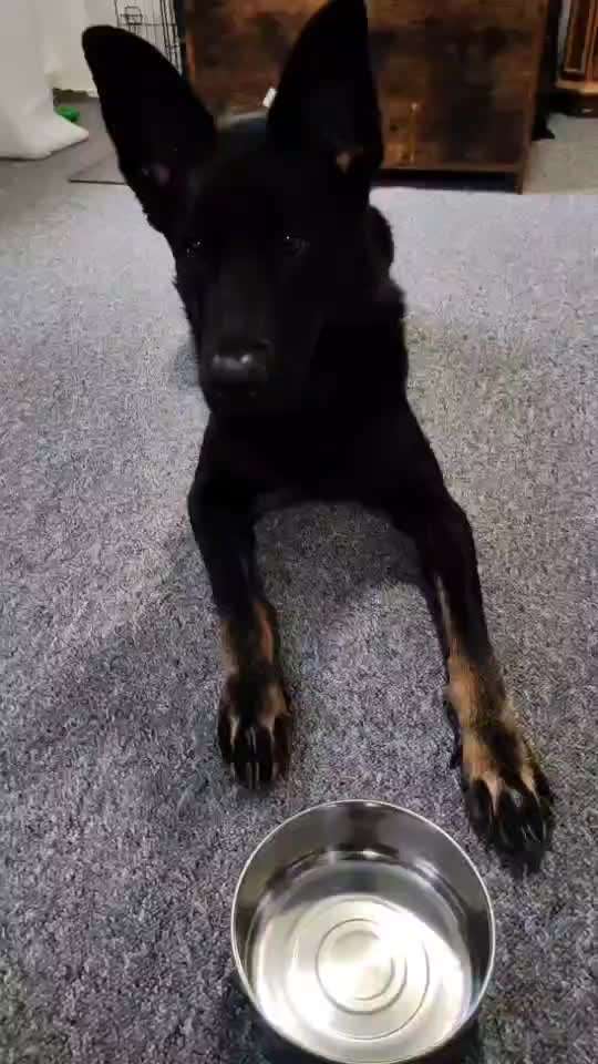 Hier ist der Spaßthread. Zum Schmunzeln und Kaputtlachen-Beitrag-Bild