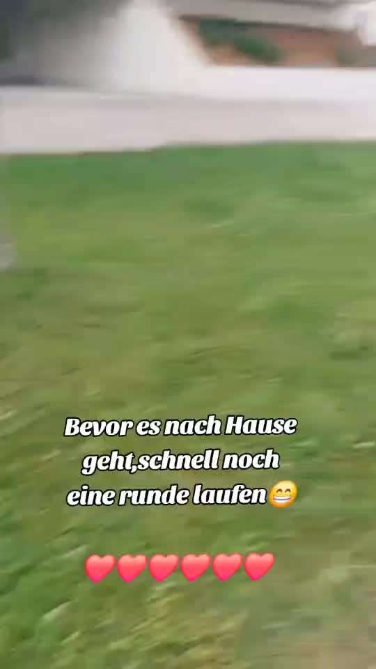 TierschutzhundeStammtisch🐕-Beitrag-Bild