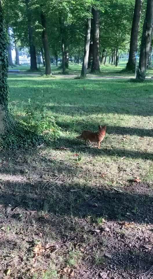 "Wege zur Freundschaft" (Ulli Reichmann)-Beitrag-Bild