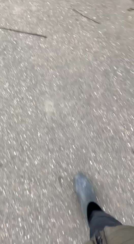 29. Impulskontrolle Übung: Leinen los!-Beitrag-Bild