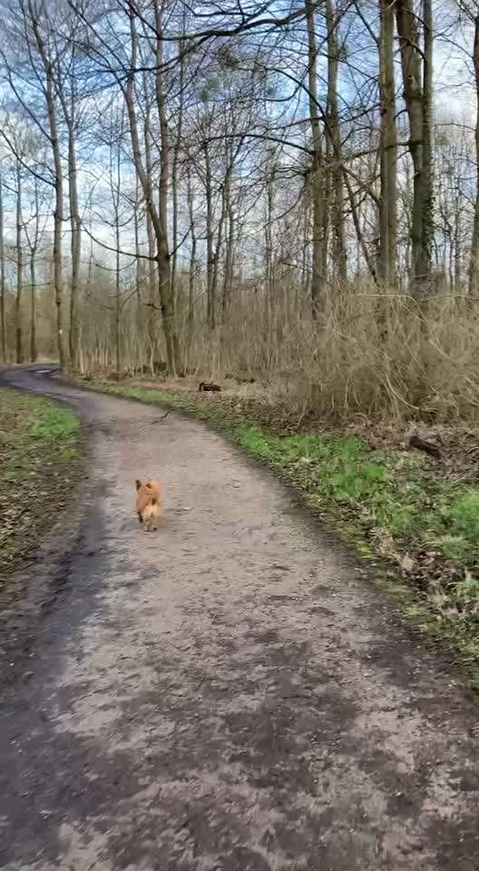 "Wege zur Freundschaft" (Ulli Reichmann)-Beitrag-Bild