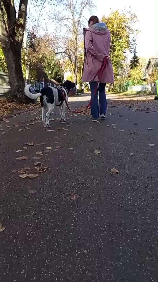 Gangbild/-analyse-Beitrag-Bild