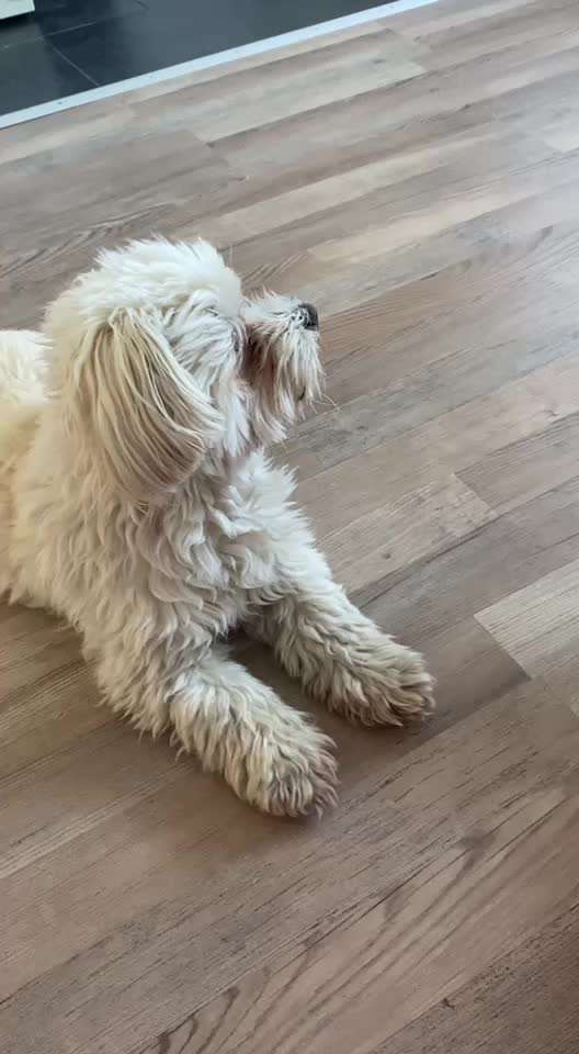 TRICK CHALLENGE NR. 10-Beitrag-Bild