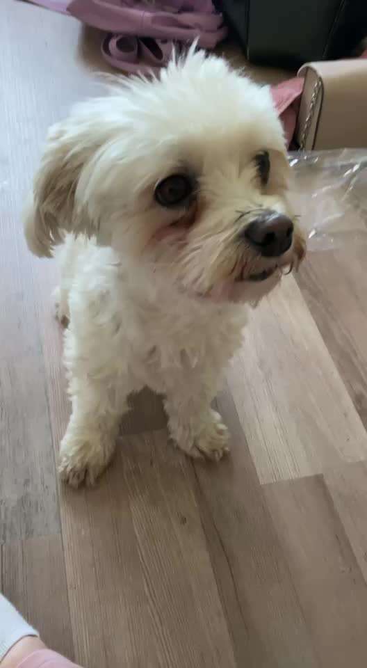 Trick Challenge 13 - Etwas Halten-Beitrag-Bild