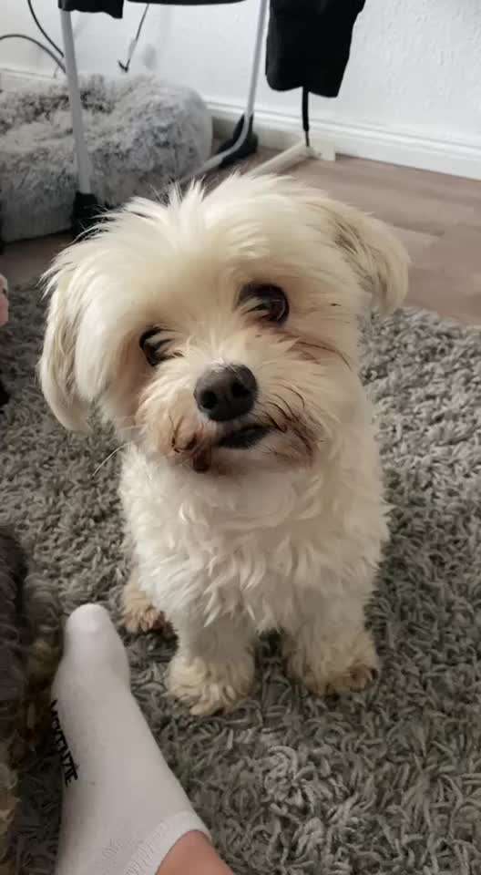 Trick Challenge Nr. 15-Beitrag-Bild