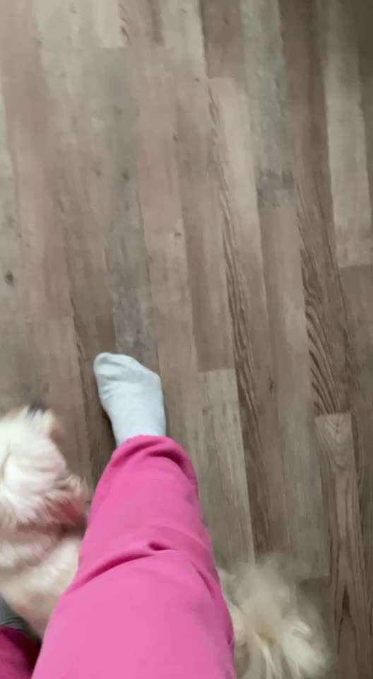 Trick Challenge Nr 6-Beitrag-Bild