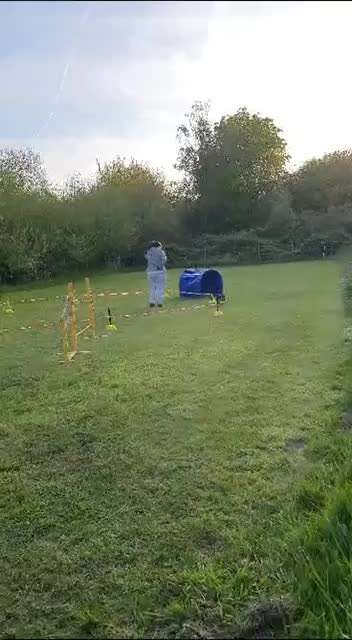 Vorschläge für Aktivitäten gesucht (:-Beitrag-Bild