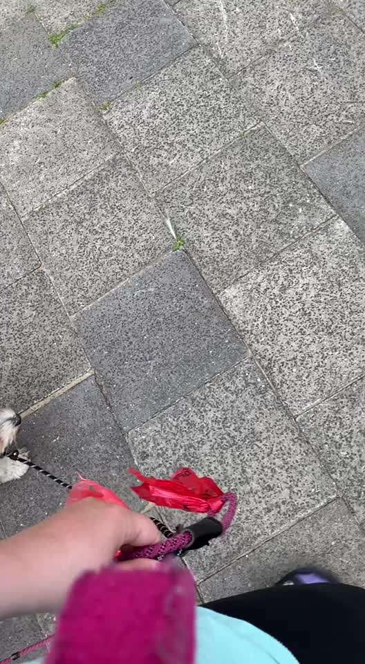 Ein Finger challenge-Beitrag-Bild