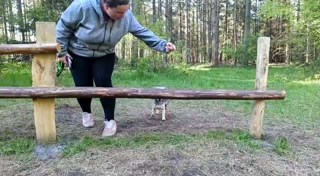 Handy Video Challenge Nr. 38 - Drüber springen-Beitrag-Bild