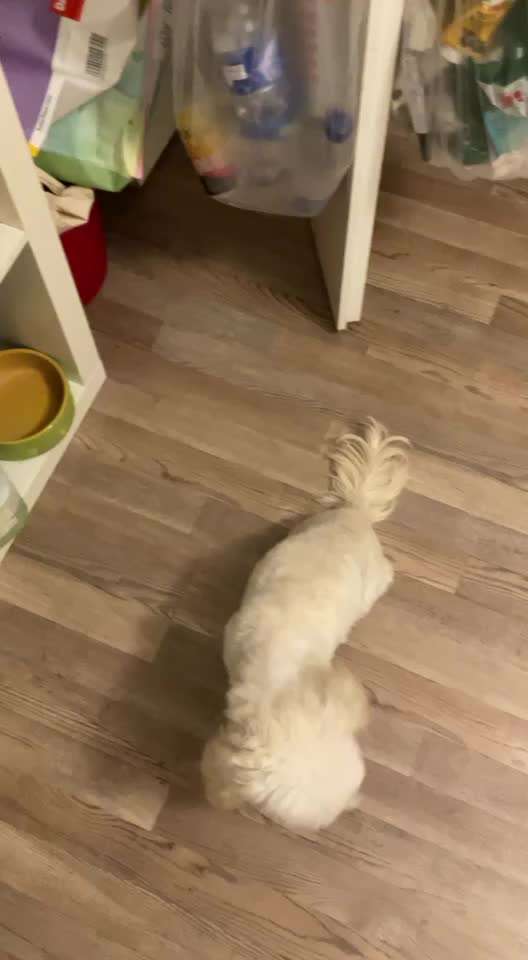 Trick Challange Nr 3-Beitrag-Bild