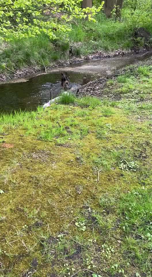 Handy Video Challenge Nr. 31: Wasser-Beitrag-Bild