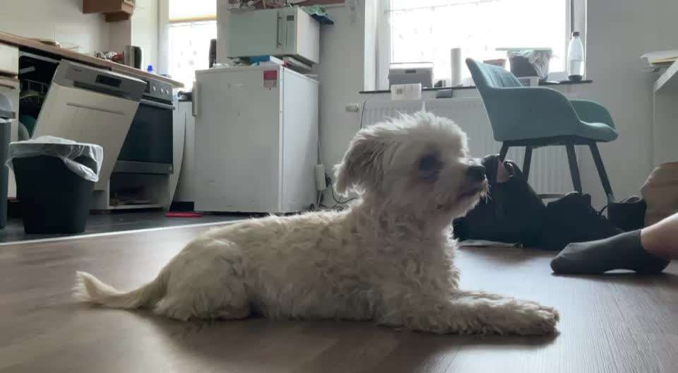 Trick Challenge Nr. 14-Beitrag-Bild