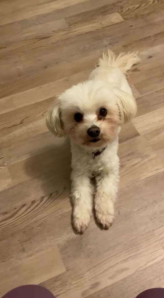 𝕋ℝ𝕀ℂ𝕂 ℂℍ𝔸𝕃𝕃𝔼ℕ𝔾𝔼 ℕℝ. 𝟚-Beitrag-Bild