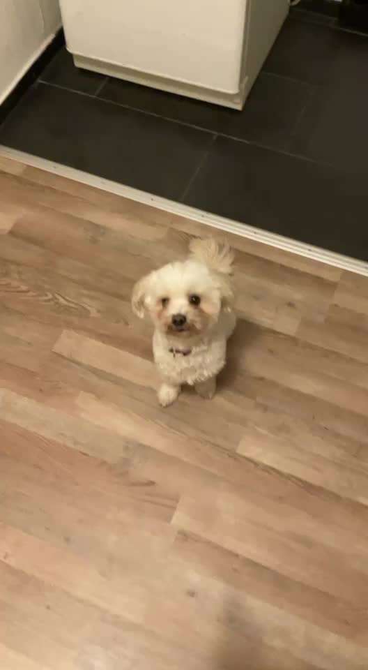 𝕋ℝ𝕀ℂ𝕂 ℂℍ𝔸𝕃𝕃𝔼ℕ𝔾𝔼 ℕℝ. 𝟙-Beitrag-Bild