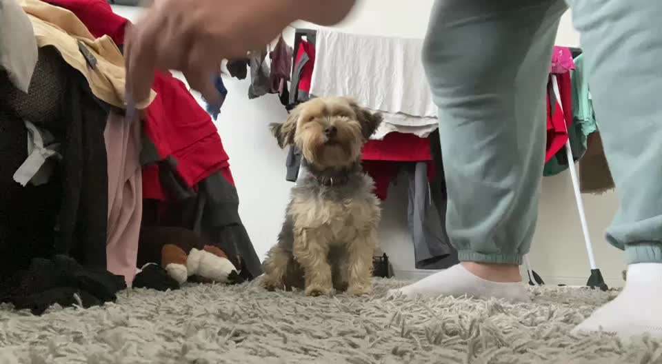 Trick Callenge Nr. 17-Beitrag-Bild