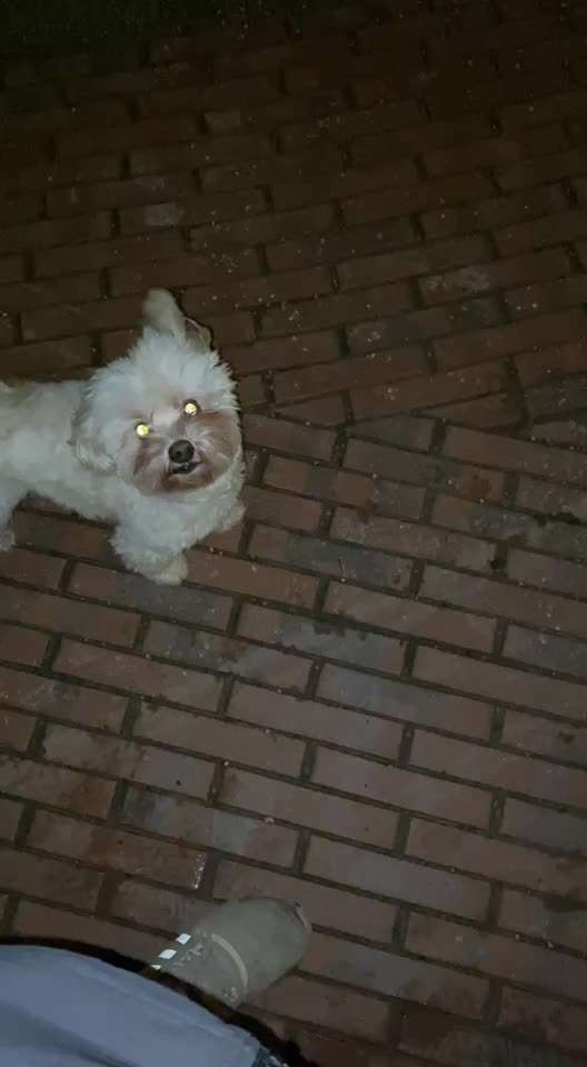 Trick Challenge Nr.5-Beitrag-Bild