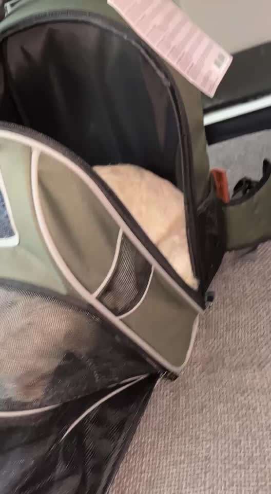 Senioren-Beitrag-Bild