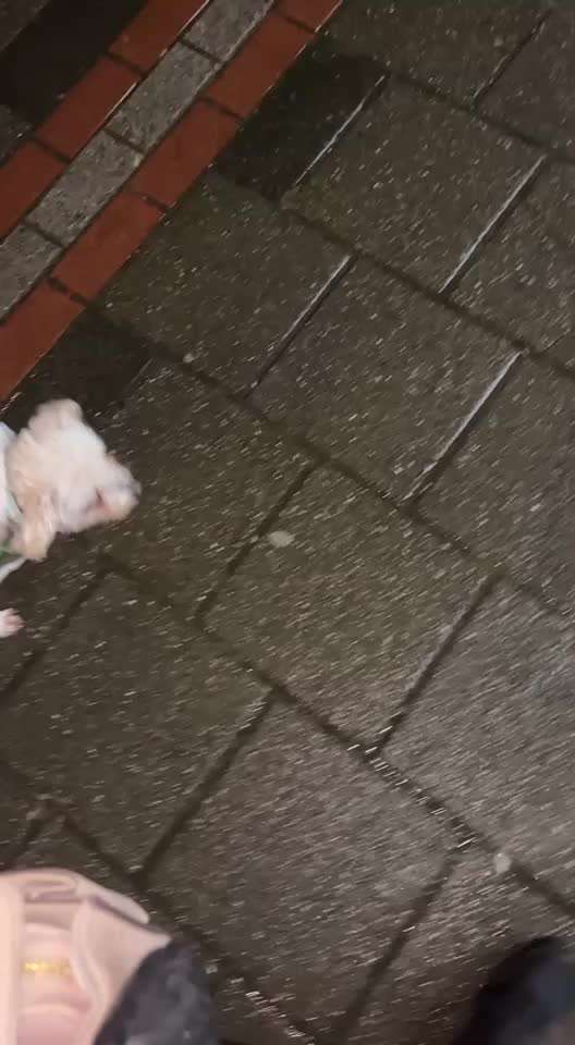 Flexileinen-Beitrag-Bild