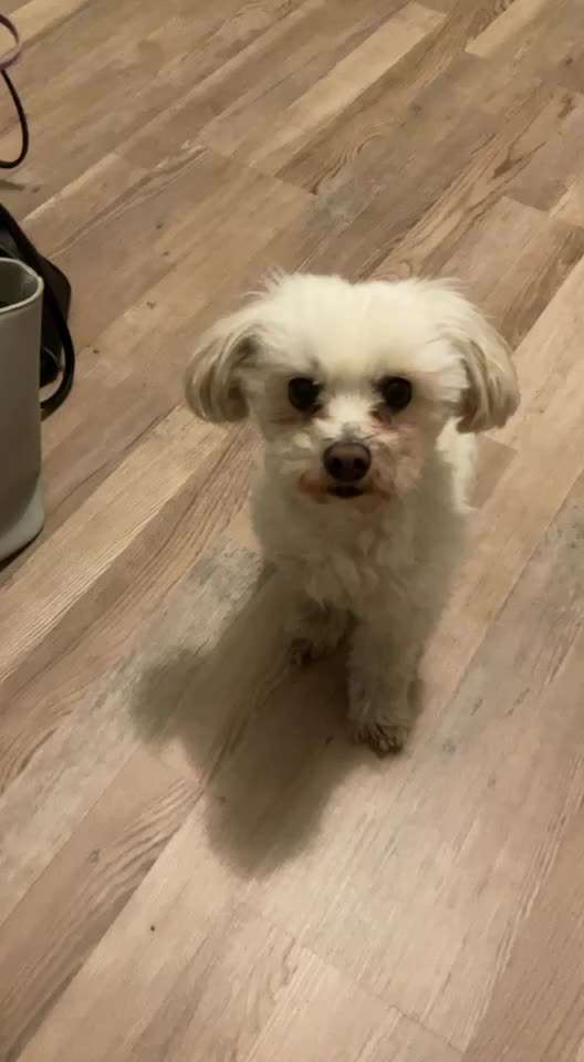 Trick Challenge Nr. 8-Beitrag-Bild