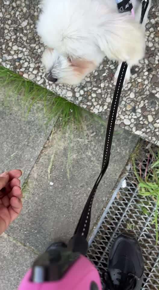 HANDY VIDEO CHALLENGE NUMMER 34 " rückwärts auf etwas drauf "-Beitrag-Bild