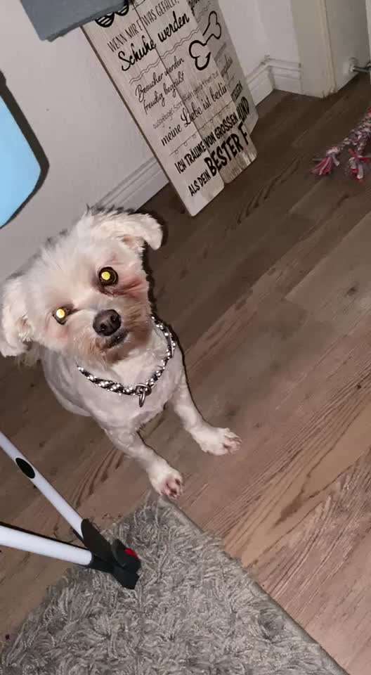 Trick Challenge NR 22 "Ziehen"-Beitrag-Bild