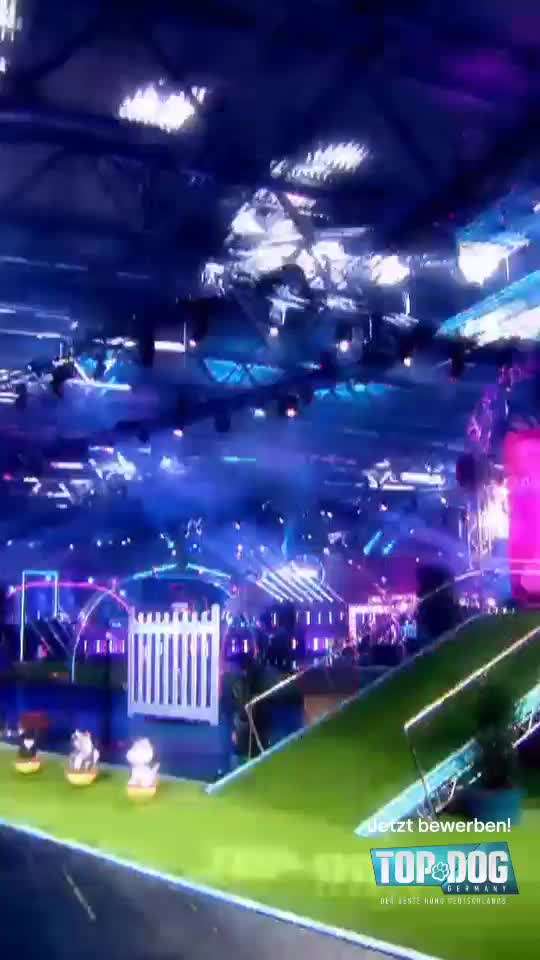 Top Dog-der Live Ticker Thread-Beitrag-Bild