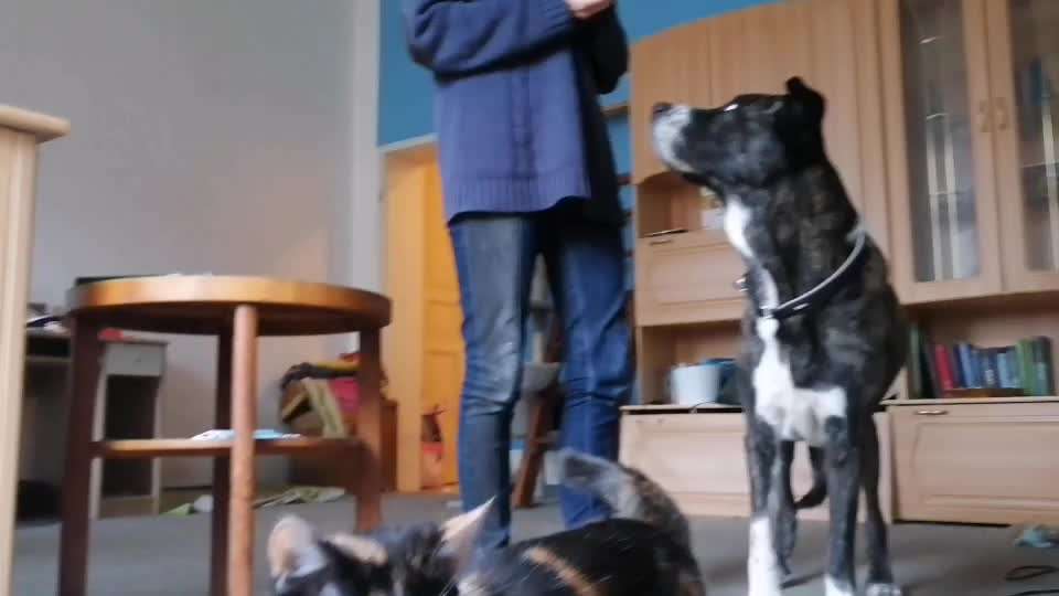 𝕋ℝ𝕀ℂ𝕂 ℂℍ𝔸𝕃𝕃𝔼ℕ𝔾𝔼 ℕℝ. 𝟙-Beitrag-Bild