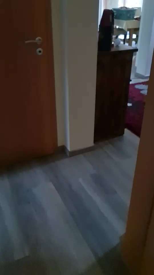 Typisch Jagdhund-Beitrag-Bild