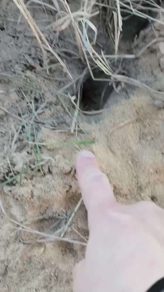 "Wege zur Freundschaft" (Ulli Reichmann)-Beitrag-Bild