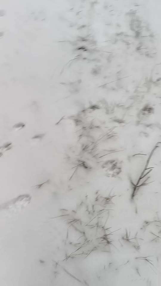 "Wege zur Freundschaft" (Ulli Reichmann)-Beitrag-Bild