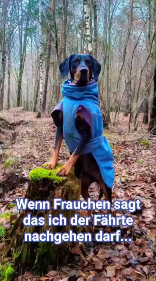 "Wege zur Freundschaft" (Ulli Reichmann)-Beitrag-Bild