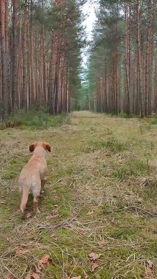 "Wege zur Freundschaft" (Ulli Reichmann)-Beitrag-Bild