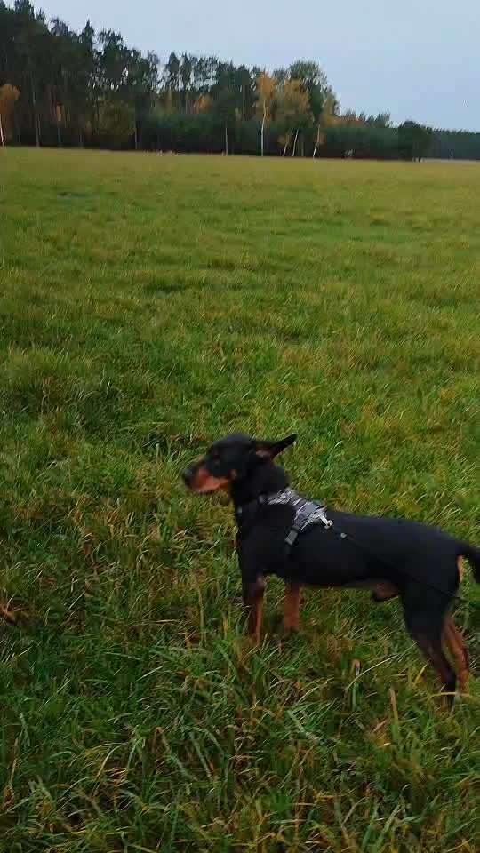 "Wege zur Freundschaft" (Ulli Reichmann)-Beitrag-Bild