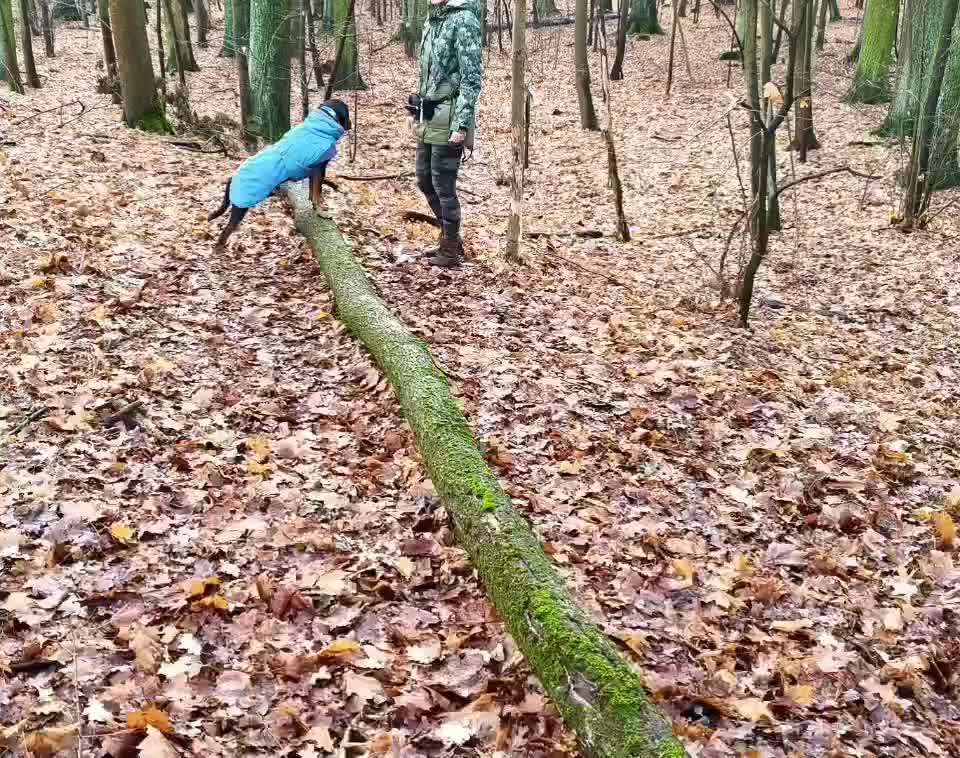 81. Trickspiel Hangeln-Beitrag-Bild