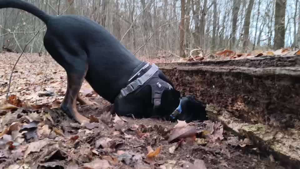 "Wege zur Freundschaft" (Ulli Reichmann)-Beitrag-Bild