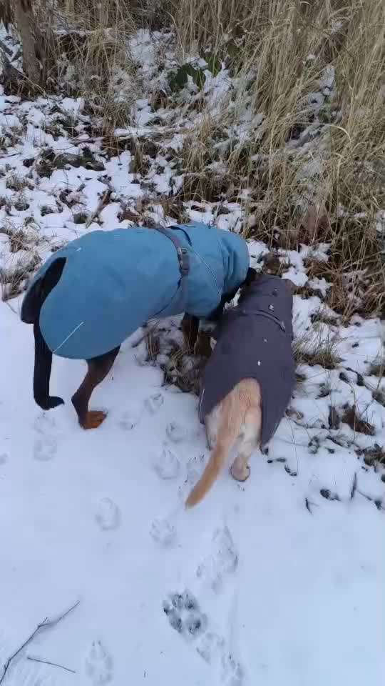 "Wege zur Freundschaft" (Ulli Reichmann)-Beitrag-Bild