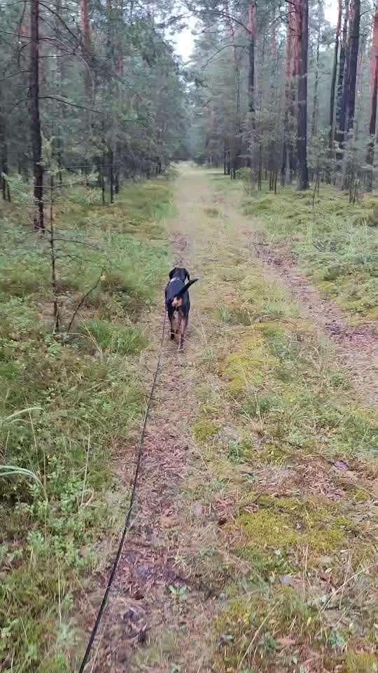 "Wege zur Freundschaft" (Ulli Reichmann)-Beitrag-Bild