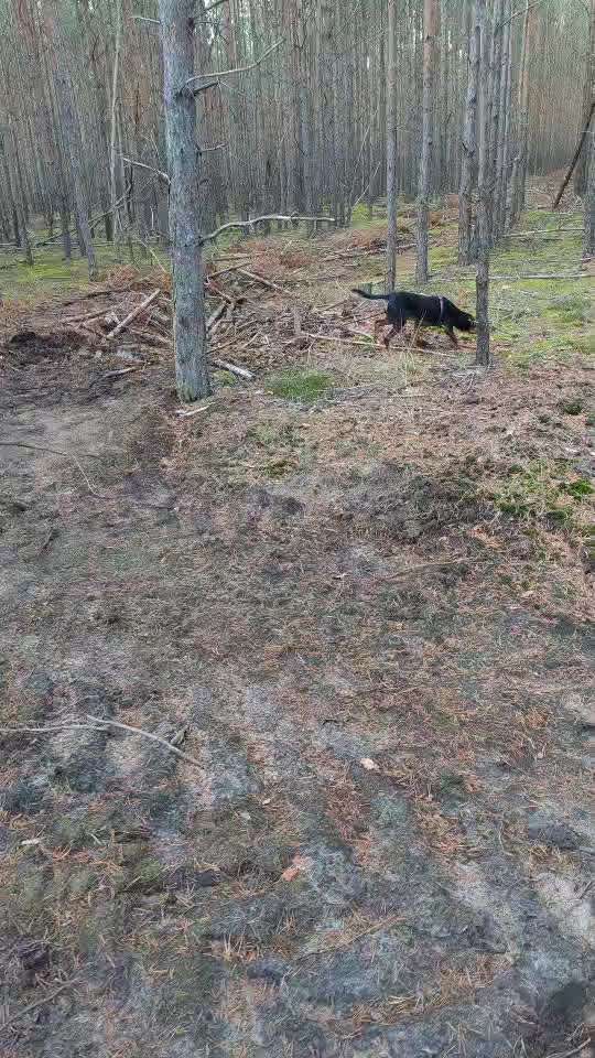 "Wege zur Freundschaft" (Ulli Reichmann)-Beitrag-Bild