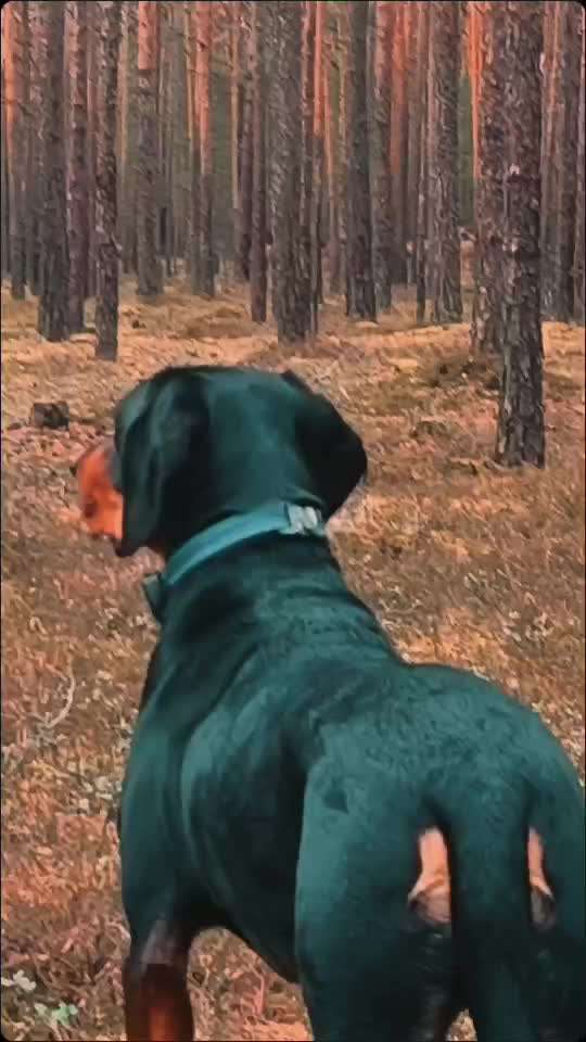 "Wege zur Freundschaft" (Ulli Reichmann)-Beitrag-Bild