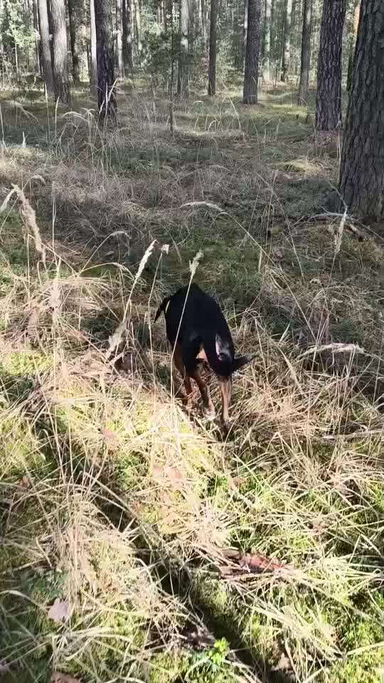 "Wege zur Freundschaft" (Ulli Reichmann)-Beitrag-Bild