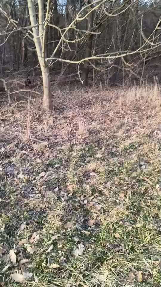 "Wege zur Freundschaft" (Ulli Reichmann)-Beitrag-Bild