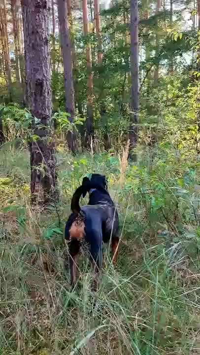 "Wege zur Freundschaft" (Ulli Reichmann)-Beitrag-Bild