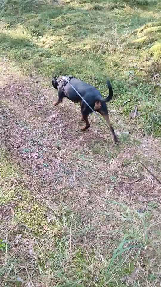 "Wege zur Freundschaft" (Ulli Reichmann)-Beitrag-Bild