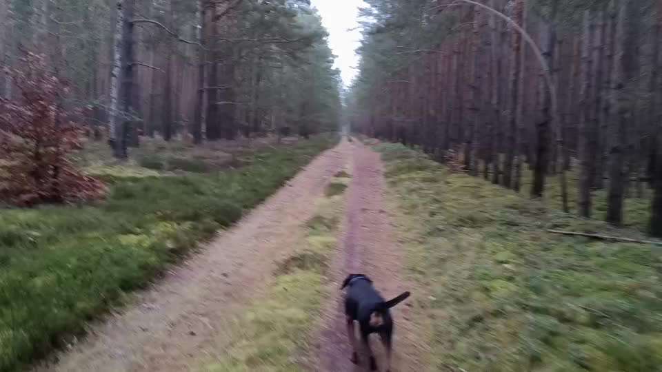 "Wege zur Freundschaft" (Ulli Reichmann)-Beitrag-Bild